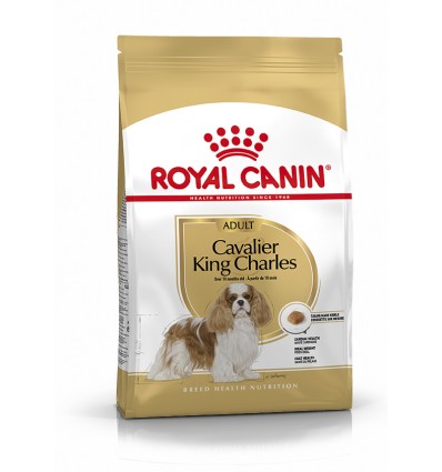 Royal Canin Cavalier King Charles Adult, Cão, Seco, Adulto, Alimentação/Ração