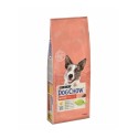 Purina Dog Chow Active Frango