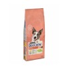 Purina Dog Chow Active Frango