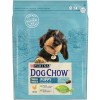 Dog Chow Small Breed Puppy Frango 2,5Kg