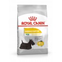 Royal Canin Mini Dermacomfort, Cão, Seco, Adulto, Alimento/Ração