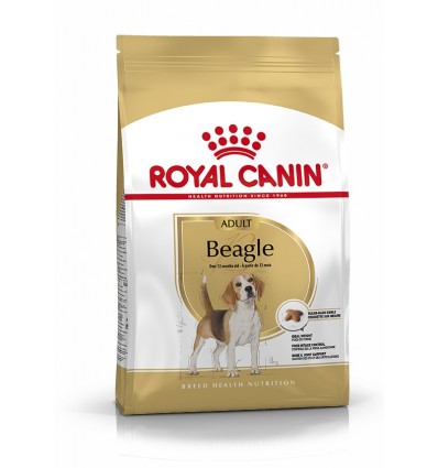 Royal Canin Beagle Adult, Cão, Seco, Adulto, Alimento/Ração