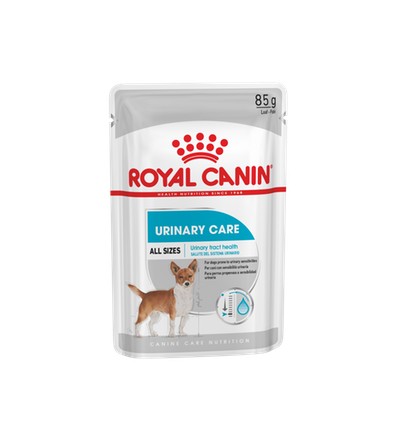 Royal Canin Mini Puppy, Cão, Húmidos, Cachorro, Alimento