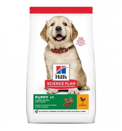 Hill's Science Plan Puppy Large Breed 11kg