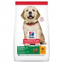 Hill's Science Plan Cão Puppy Large Breed Frango