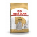 Royal Canin Maltese Adult, Cão, Seco, Adulto, Alimento/Ração