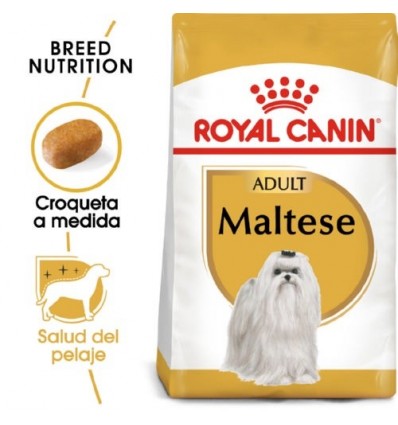 Royal Canin Caniche (Poodle) 500g