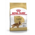 Royal Canin Cocker Adult, Cão, Seco, Adulto, Alimento/Ração