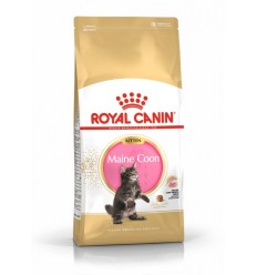 Royal Canin Kitten Maine Coon, Gatinho, Seco, Maine Coon, Alimento/Ração