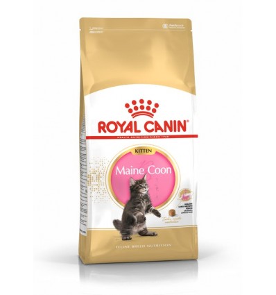 Royal Canin Maine Coon, Gato, Seco, Adulto, Maine Coon, Alimento/Ração