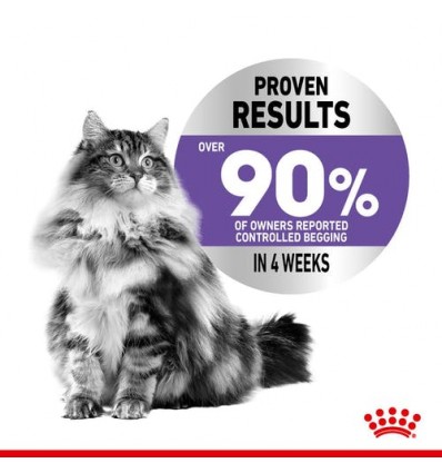 Royal Canin Appetite Control , Gatos, Húmidos, Adulto, Alimento/Ração