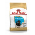 Royal Canin Rottweiler Puppy, Cão, Seco, Cachorro, Alimento/Ração