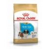 Royal Canin Shih Tzu, Cão, Seco, Adulto, Alimento/Ração