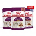 Royal Canin Sensory Taste, Gatos, Húmidos, Adultos, Alimento