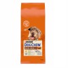 Purina Dog Chow Senior com Frango 14Kg