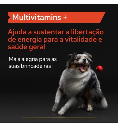 Purina Pro Plan Suplemento Mobility + Cão 60gr